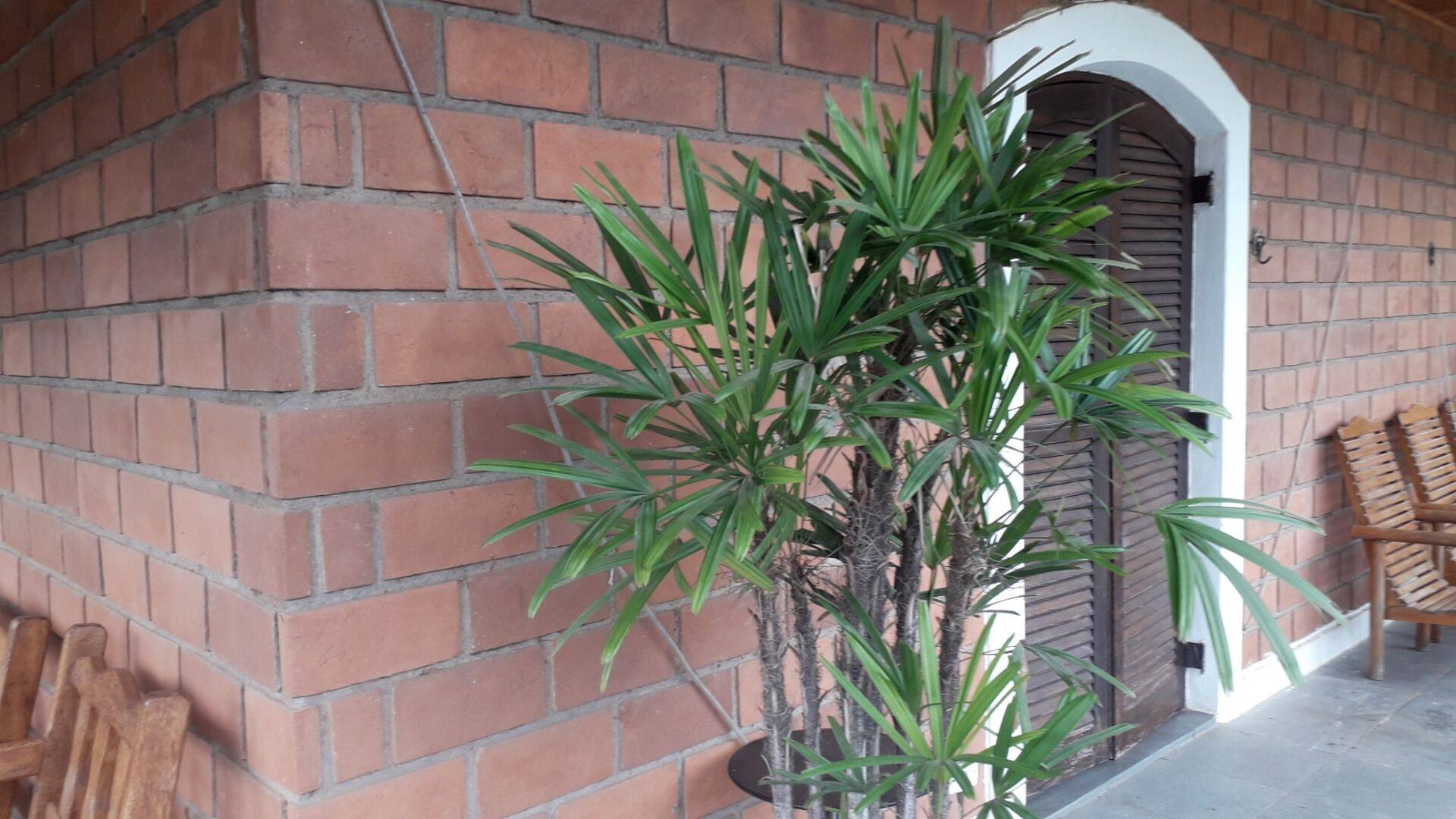Chácara, 3 quartos, 1031 m² - Foto 35
