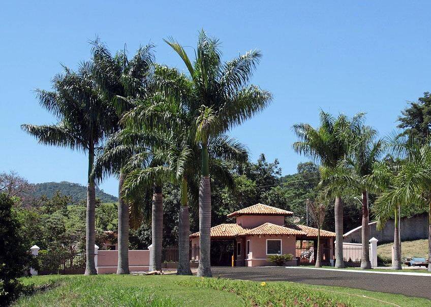 Terreno, 806 m² - Foto 9