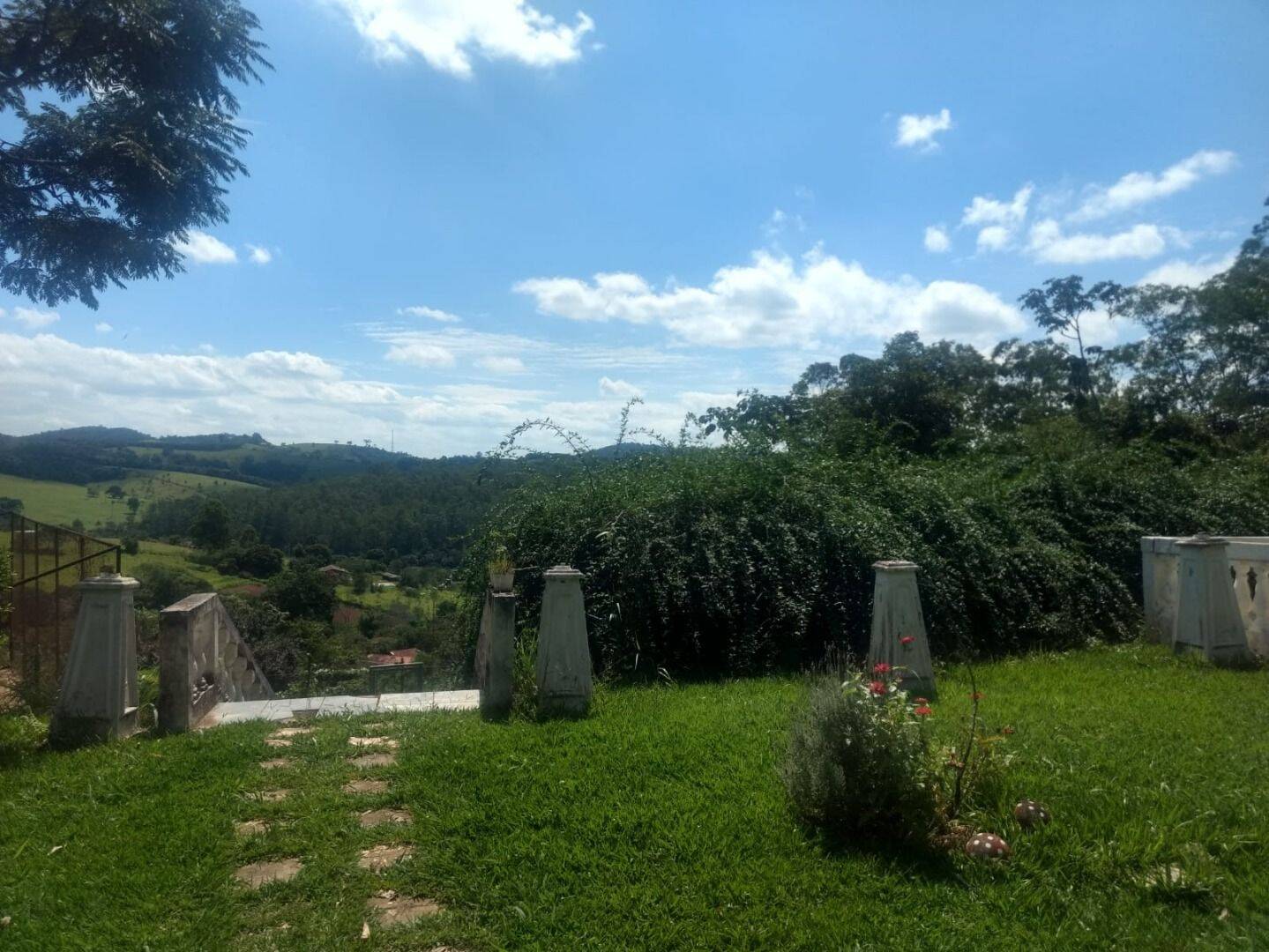Sítio, 3 quartos, 3 hectares - Foto 8