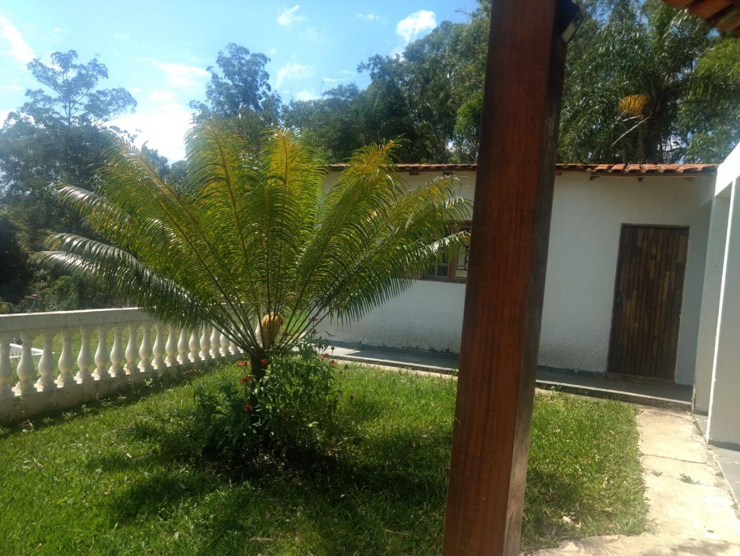 Sítio, 3 quartos, 3 hectares - Foto 13