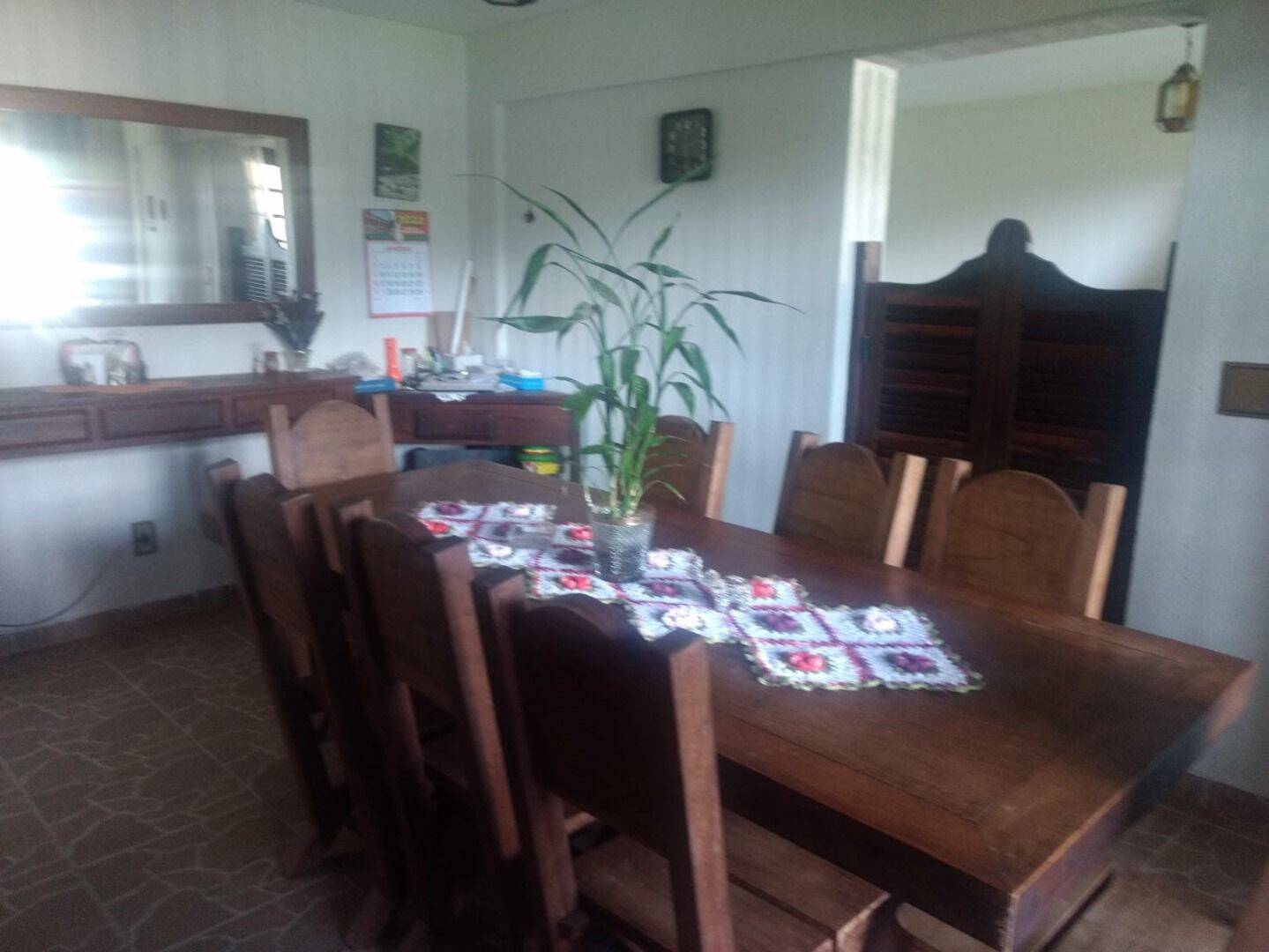 Sítio, 3 quartos, 3 hectares - Foto 37