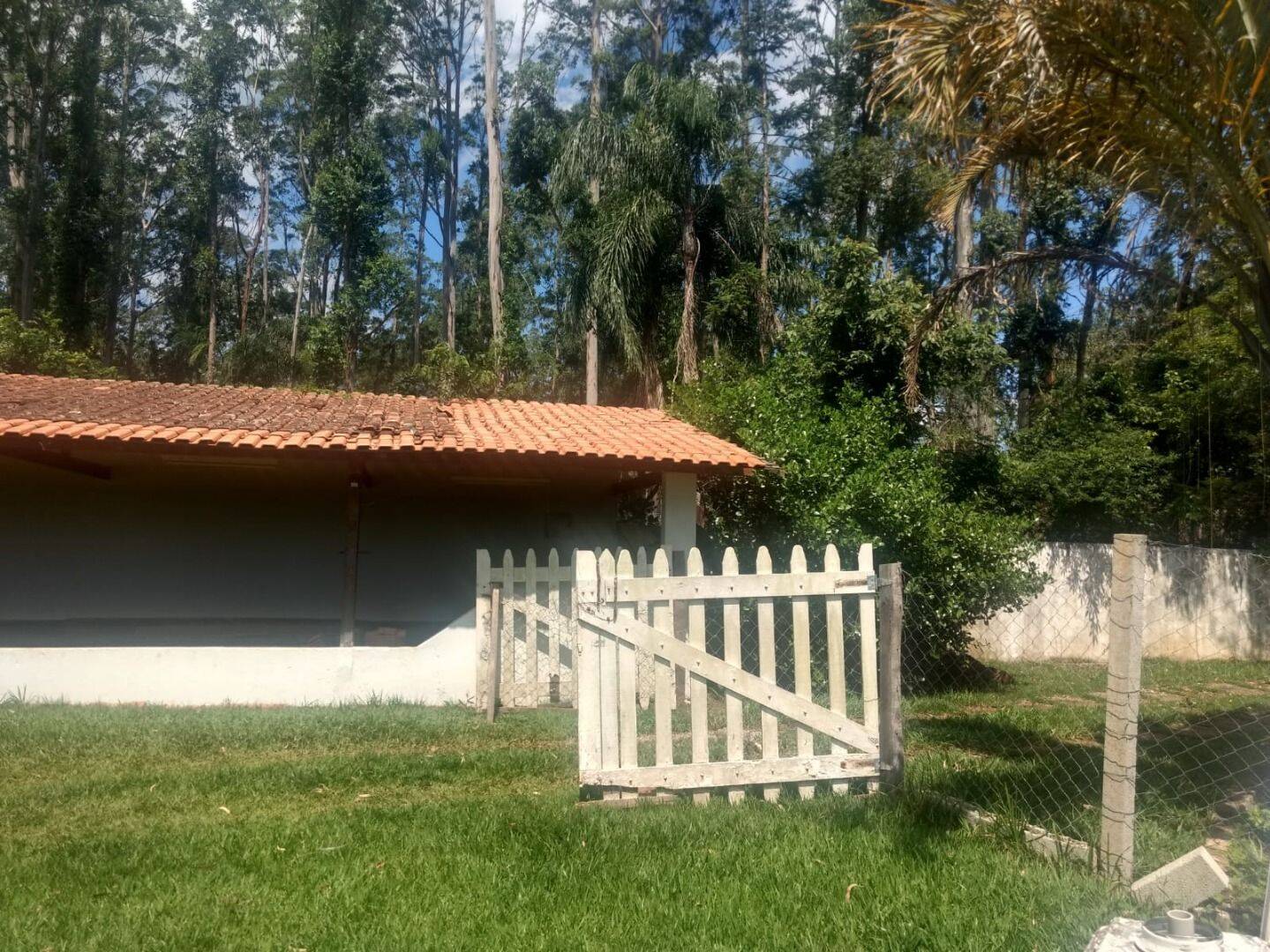 Sítio, 3 quartos, 3 hectares - Foto 47