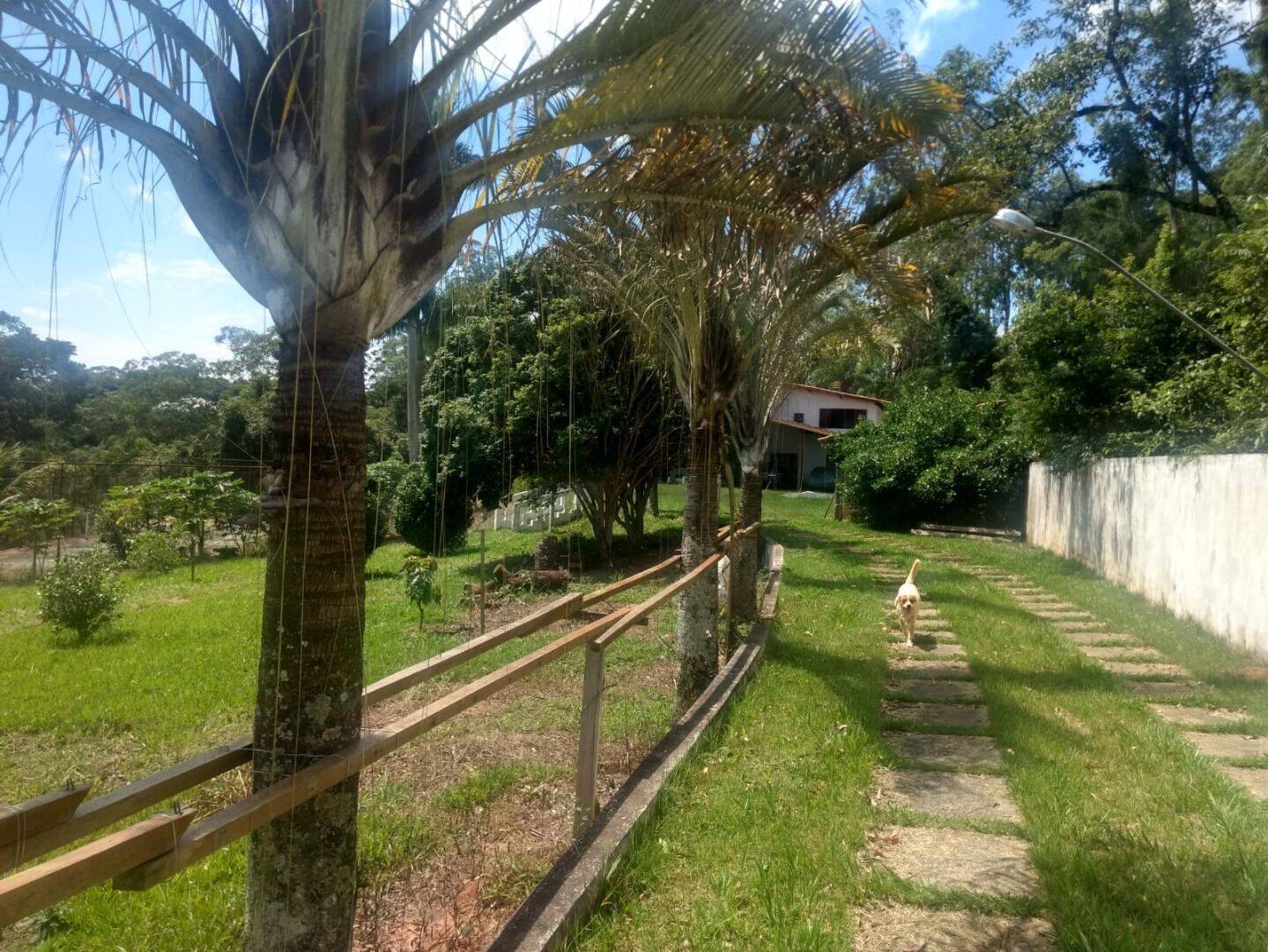 Sítio, 3 quartos, 3 hectares - Foto 49