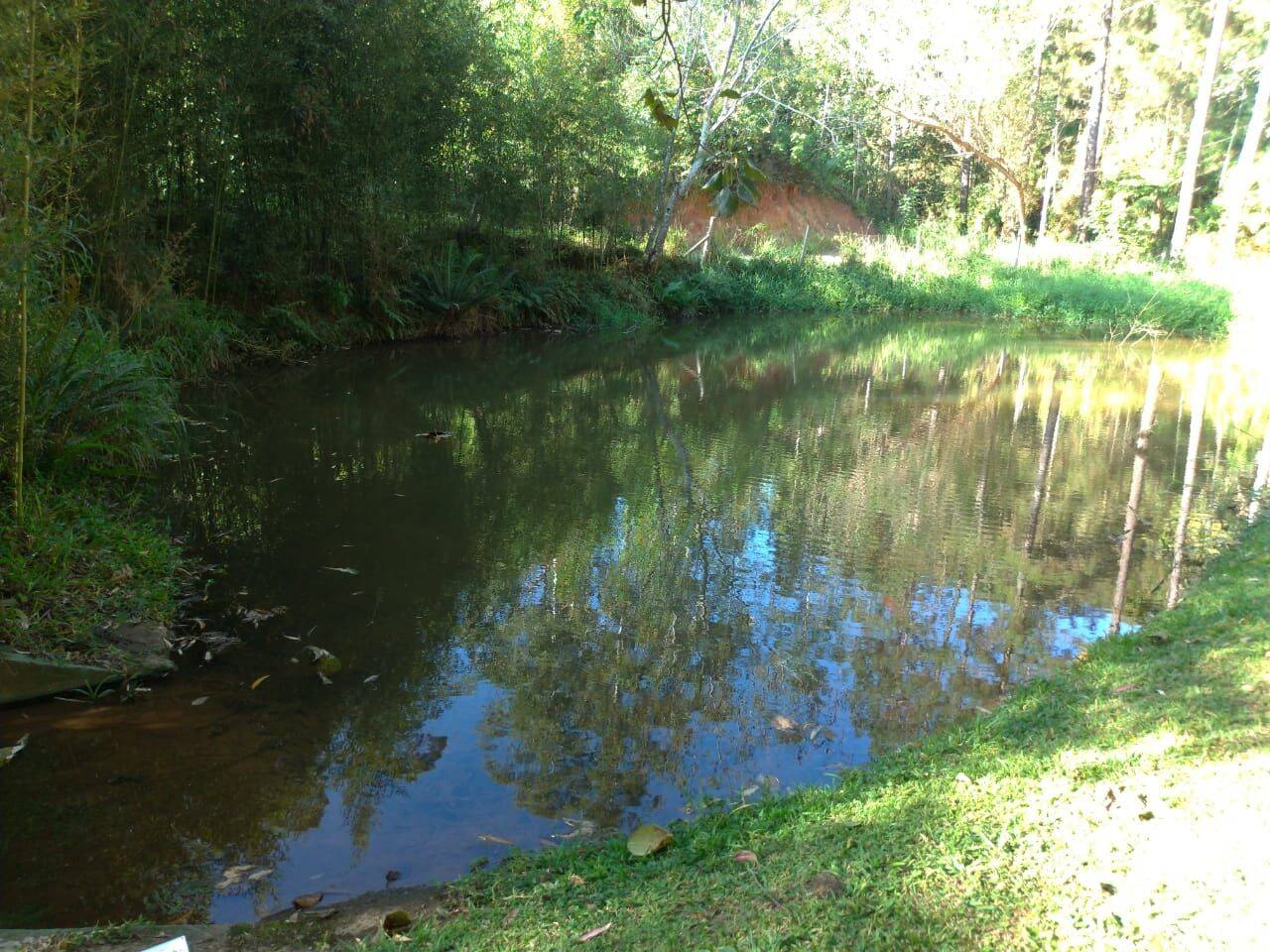 Sítio, 4 quartos, 1 hectares - Foto 16