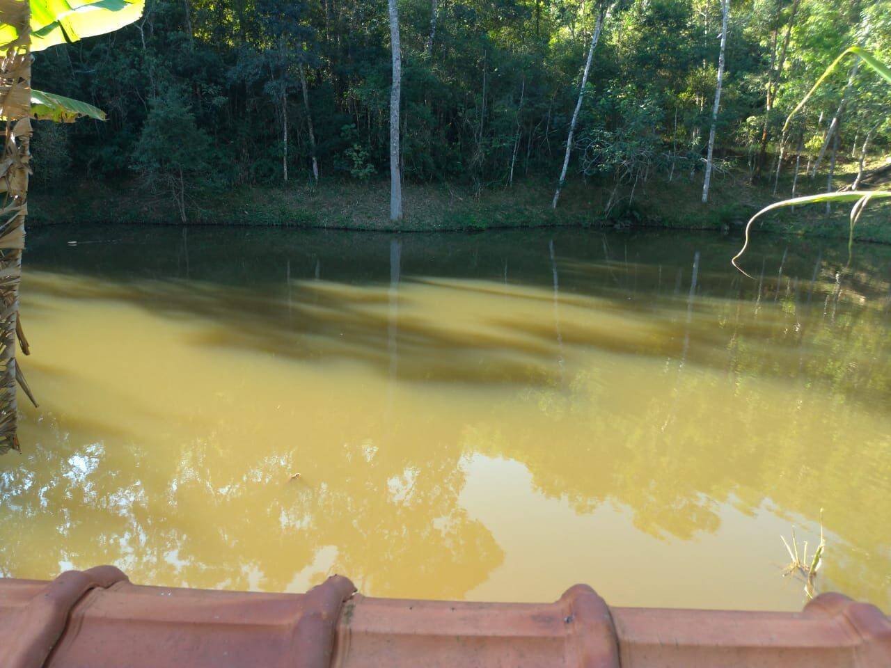 Sítio, 4 quartos, 1 hectares - Foto 20