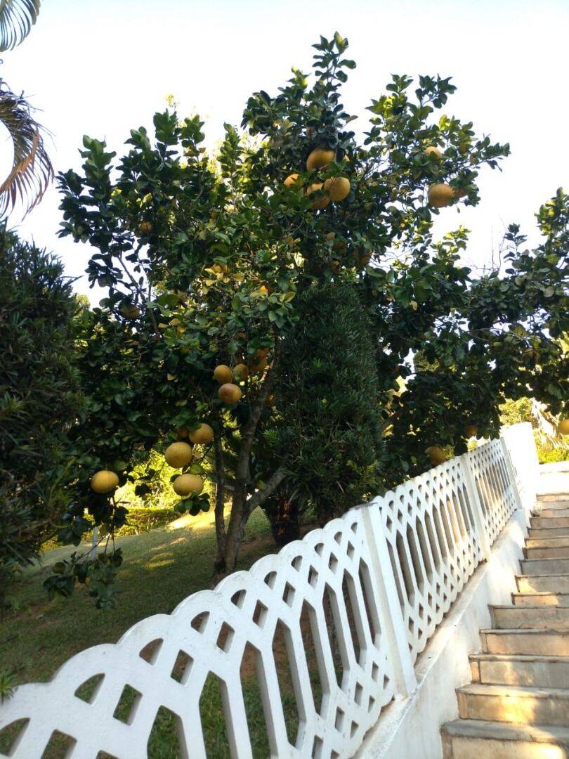 Sítio, 4 quartos, 1 hectares - Foto 24