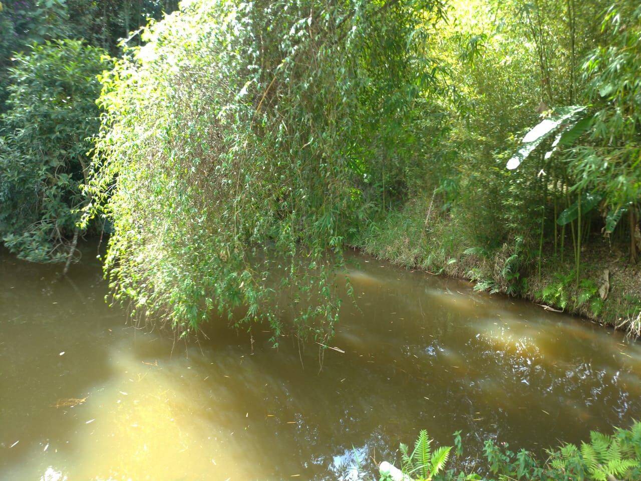 Sítio, 4 quartos, 1 hectares - Foto 39