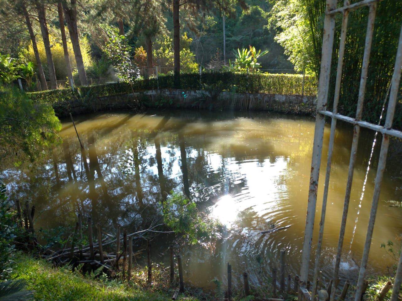 Sítio, 4 quartos, 1 hectares - Foto 41