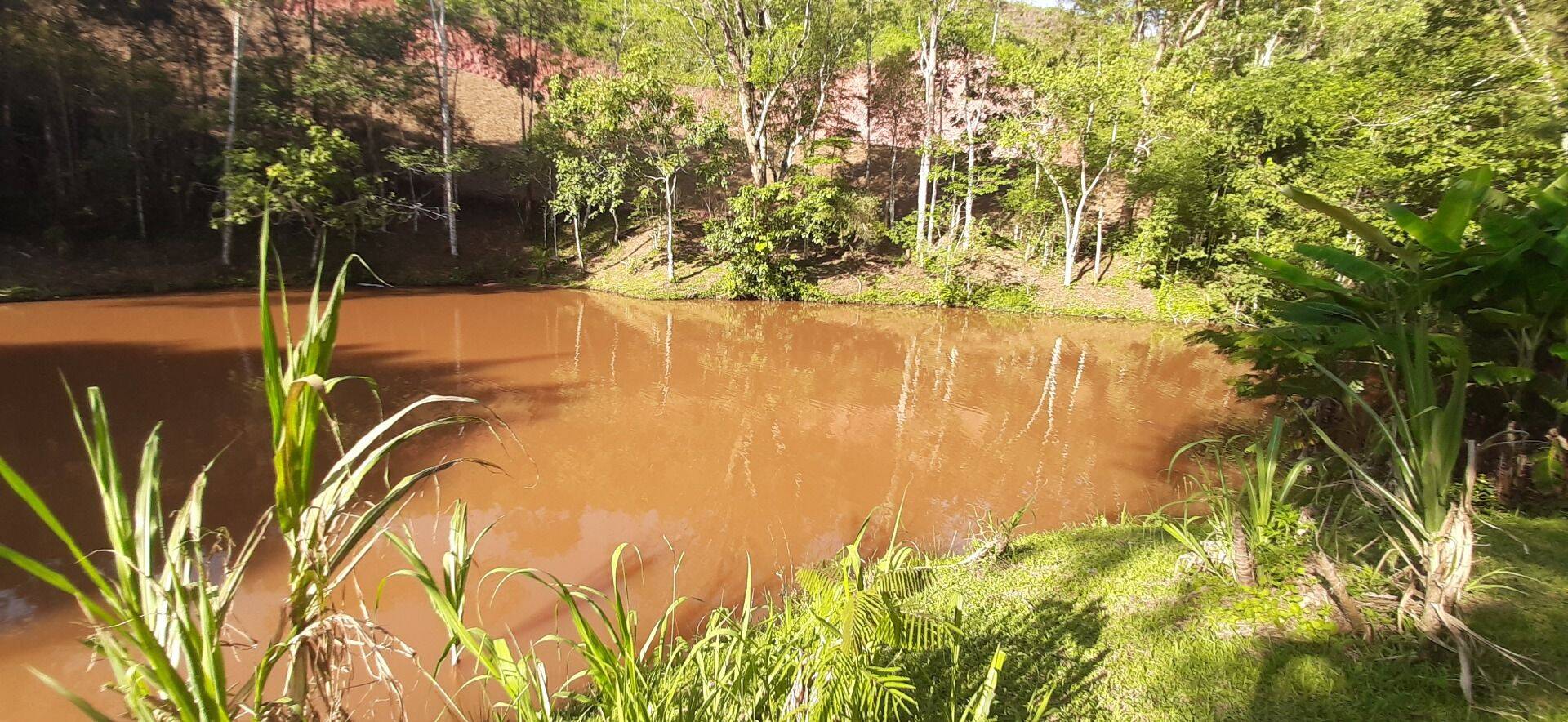 Sítio, 4 quartos, 1 hectares - Foto 59