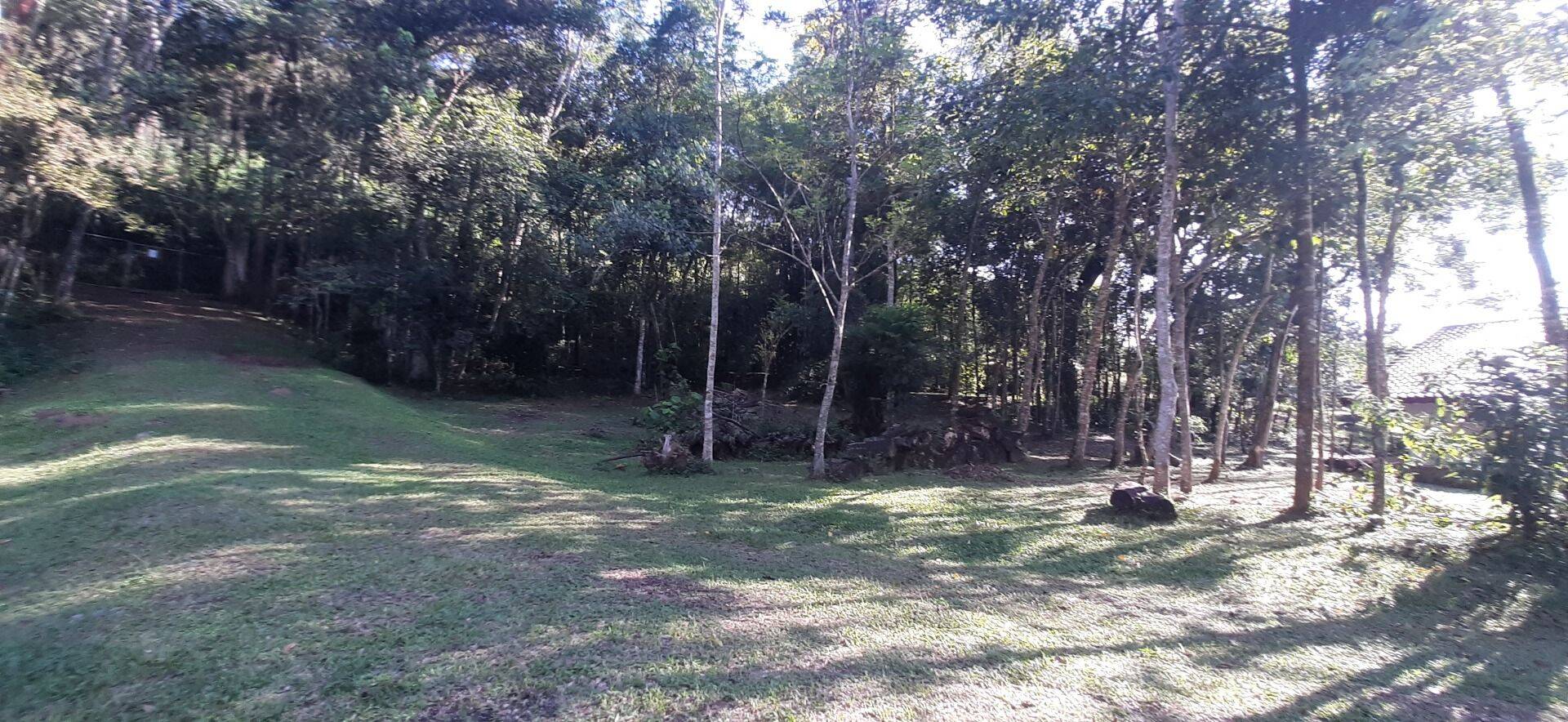 Sítio, 4 quartos, 1 hectares - Foto 60