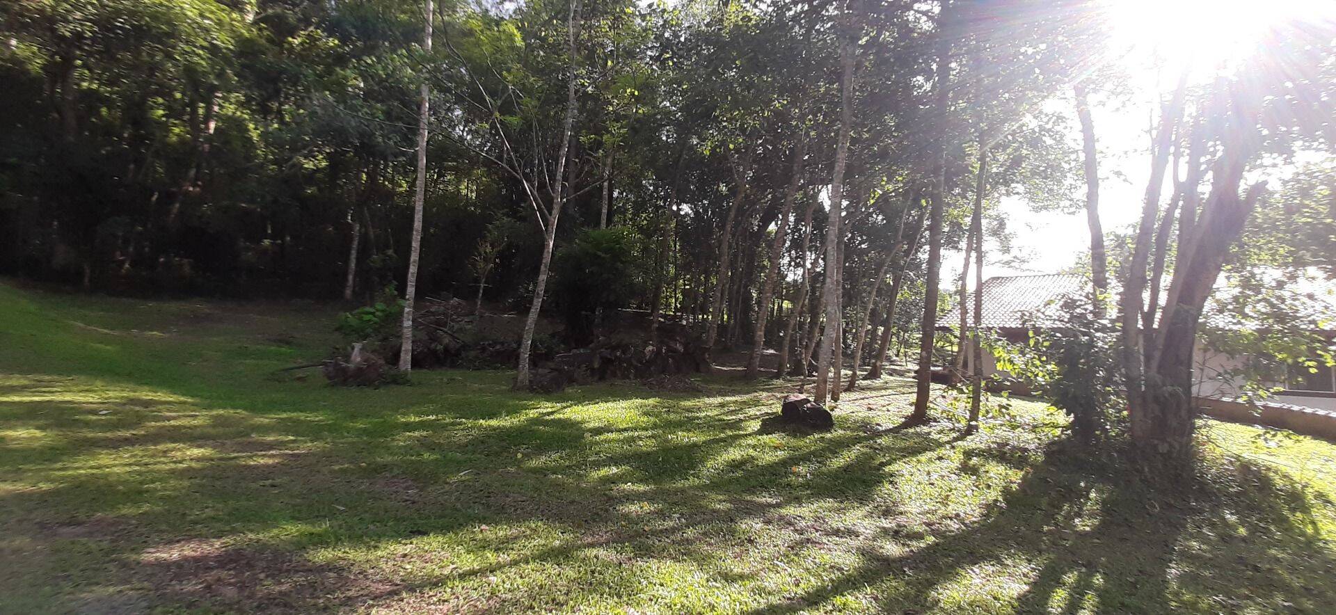 Sítio, 4 quartos, 1 hectares - Foto 61