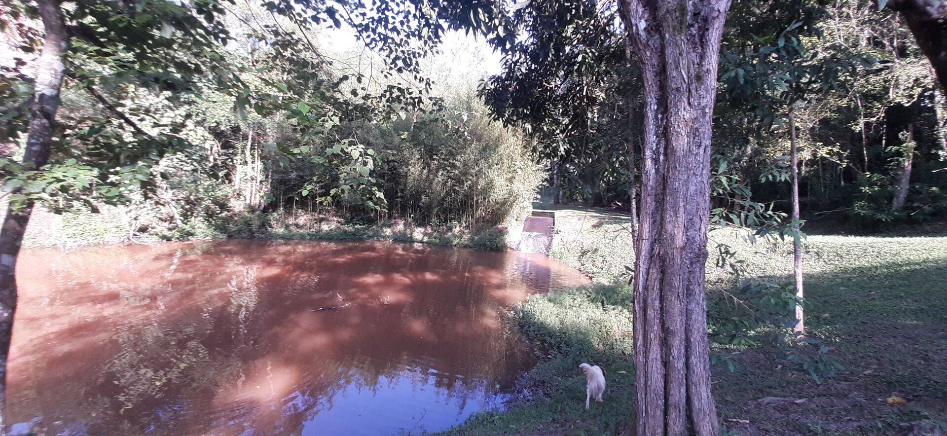 Sítio, 4 quartos, 1 hectares - Foto 62