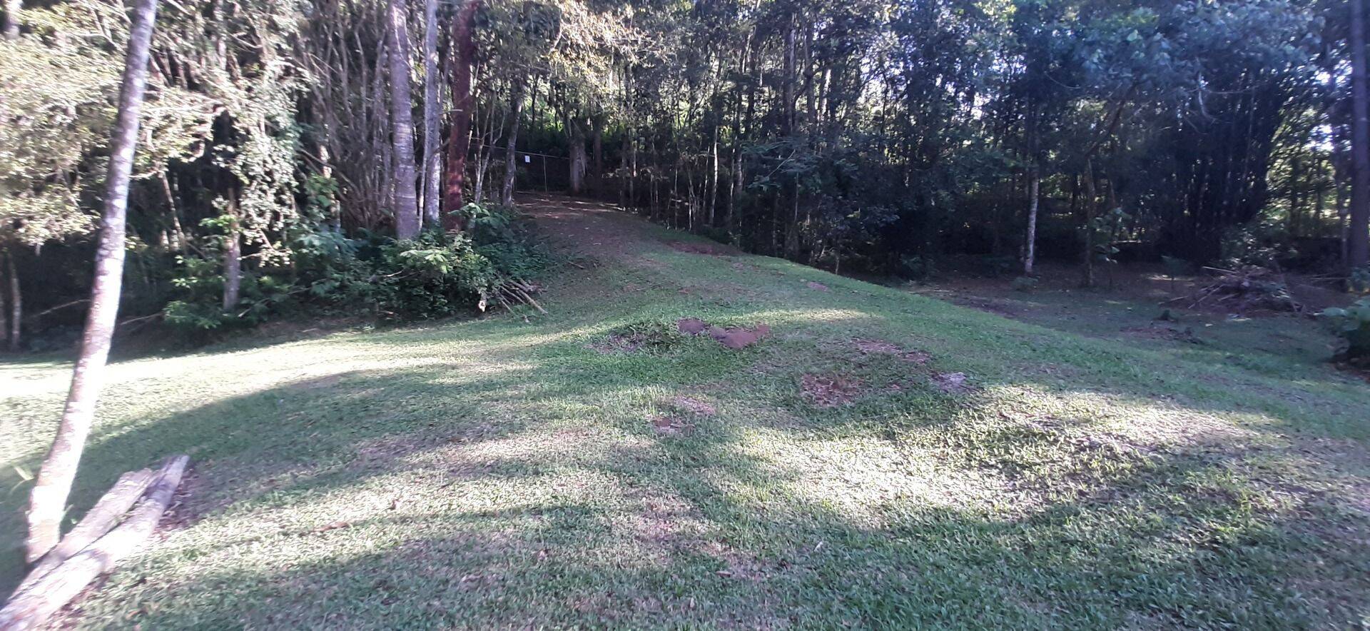 Sítio, 4 quartos, 1 hectares - Foto 63