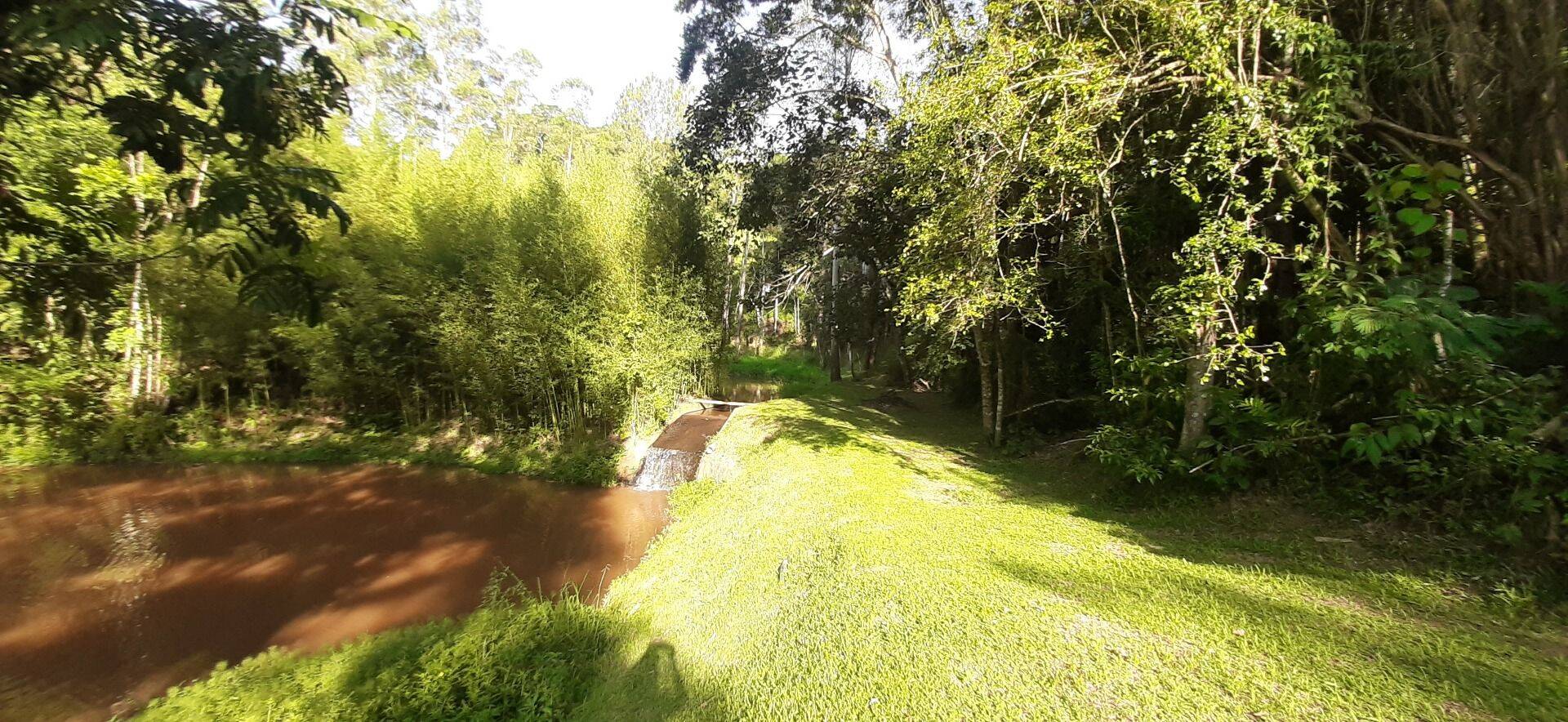 Sítio, 4 quartos, 1 hectares - Foto 64