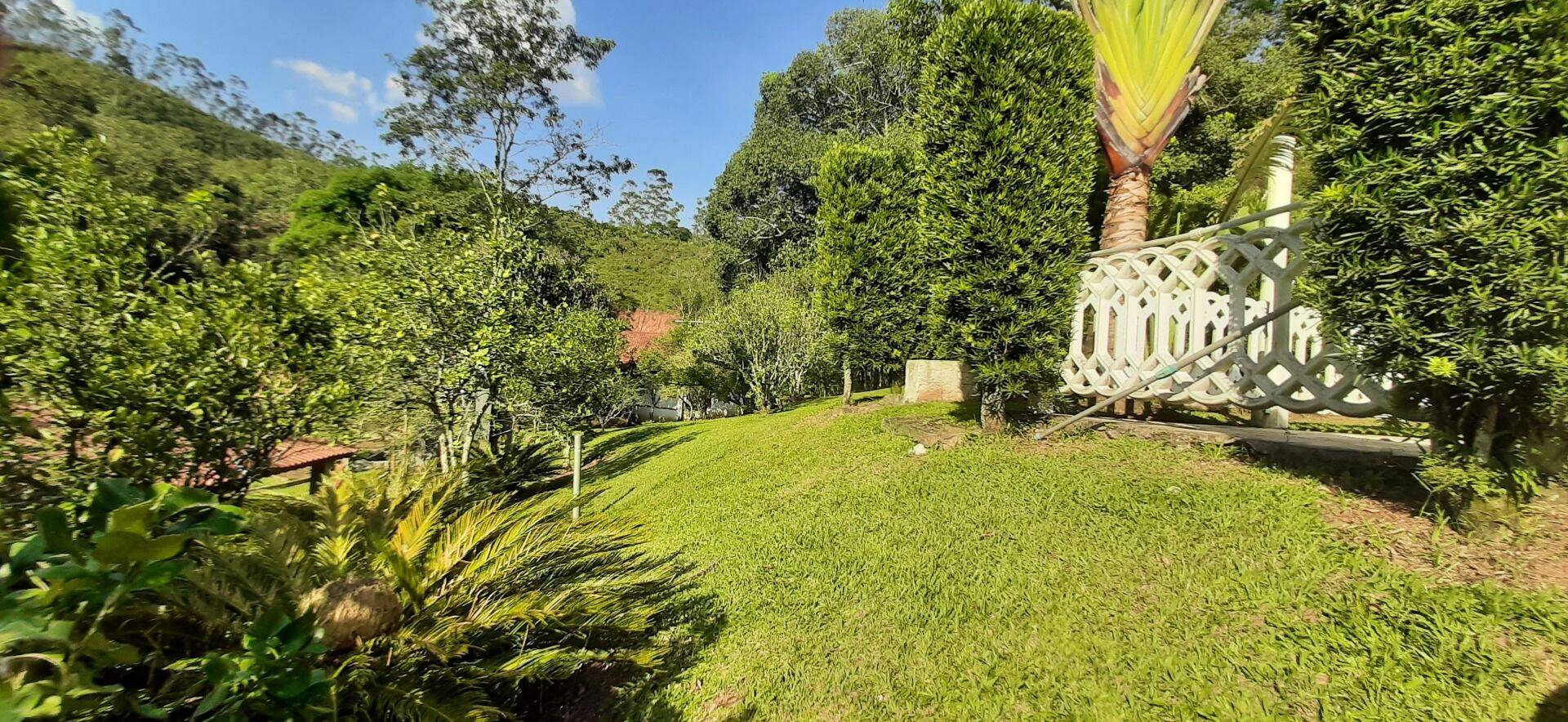 Sítio, 4 quartos, 1 hectares - Foto 66