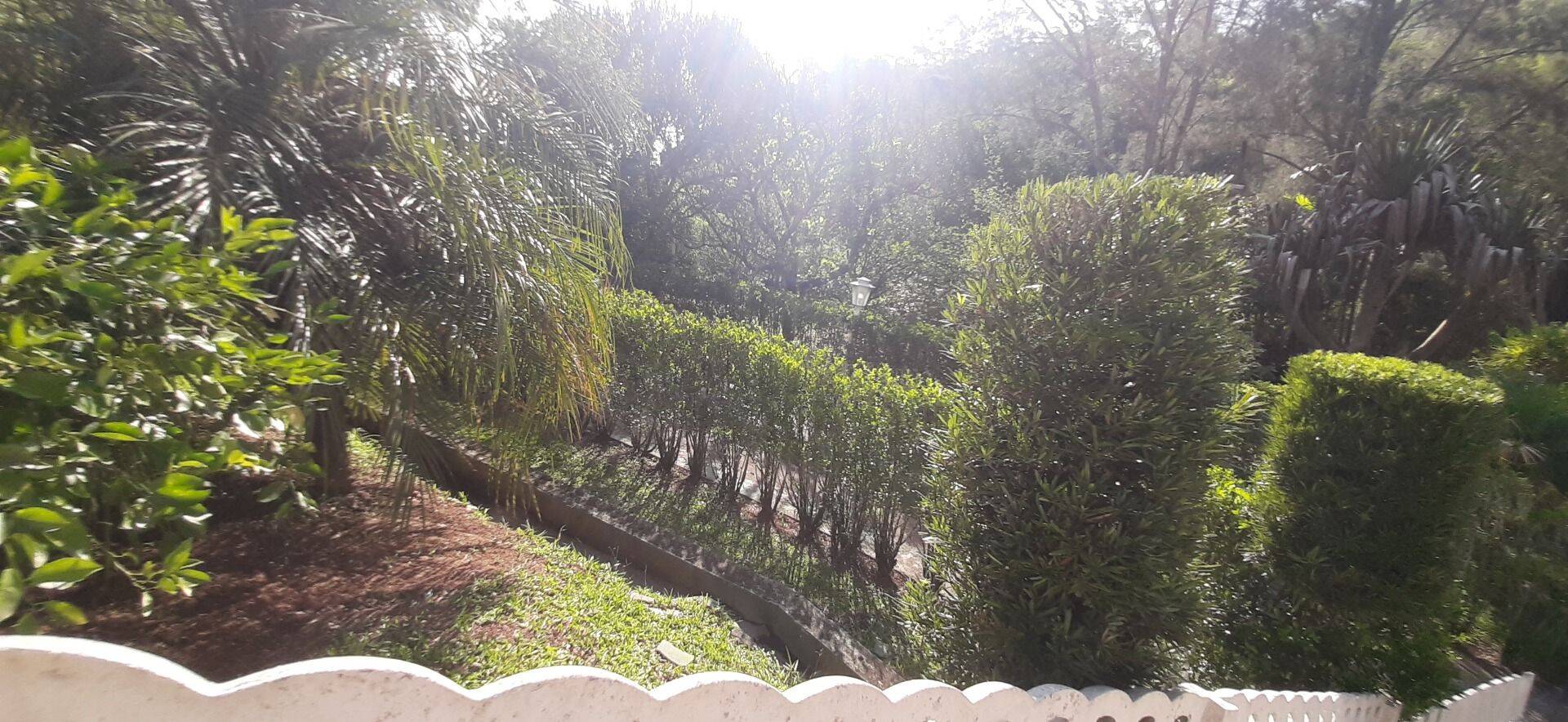 Sítio, 4 quartos, 1 hectares - Foto 67