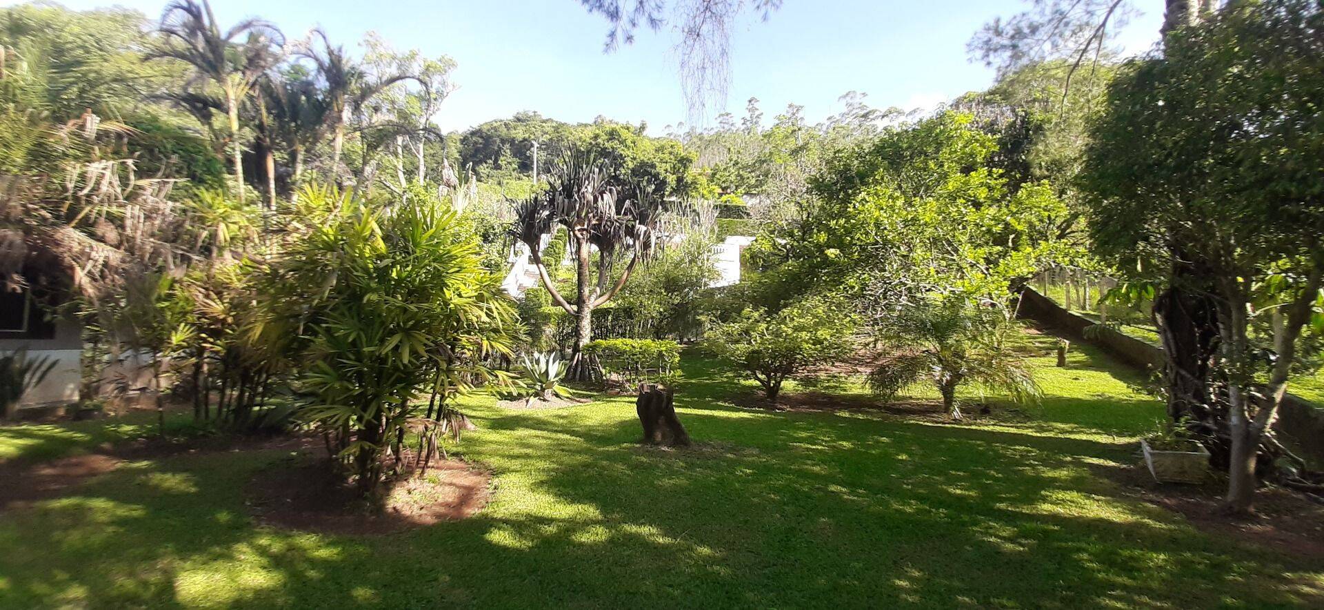 Sítio, 4 quartos, 1 hectares - Foto 72