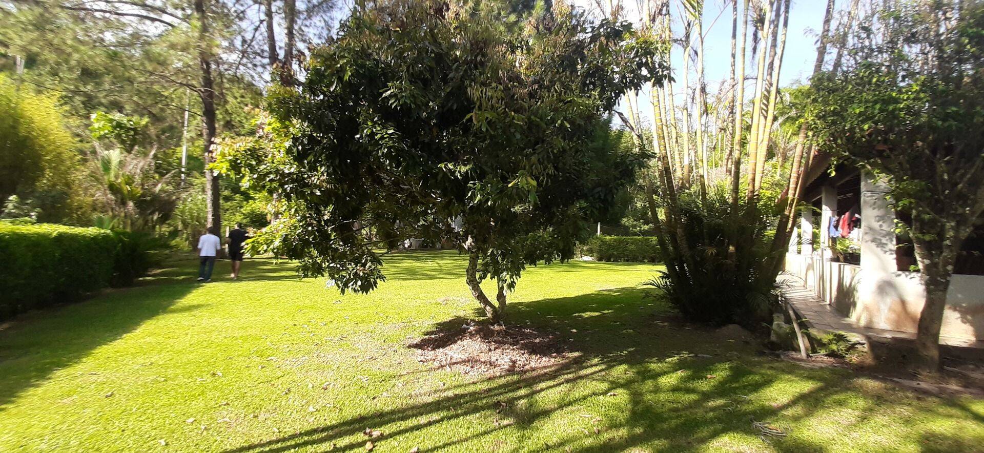 Sítio, 4 quartos, 1 hectares - Foto 73