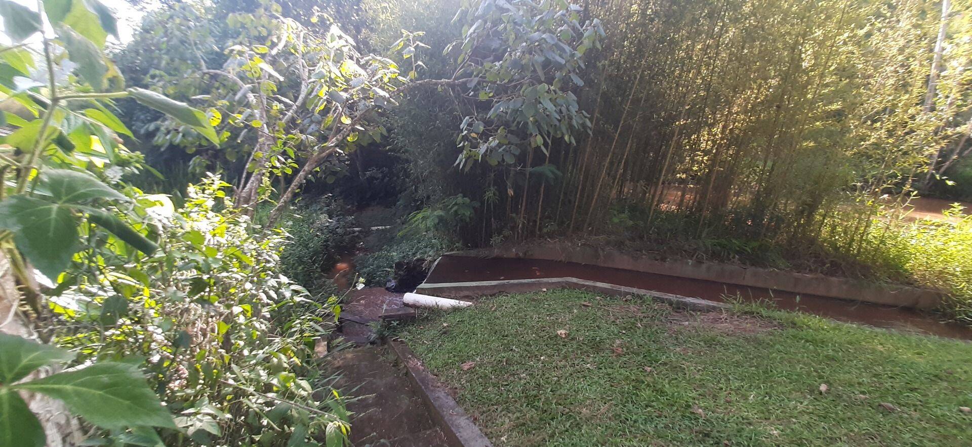 Sítio, 4 quartos, 1 hectares - Foto 75