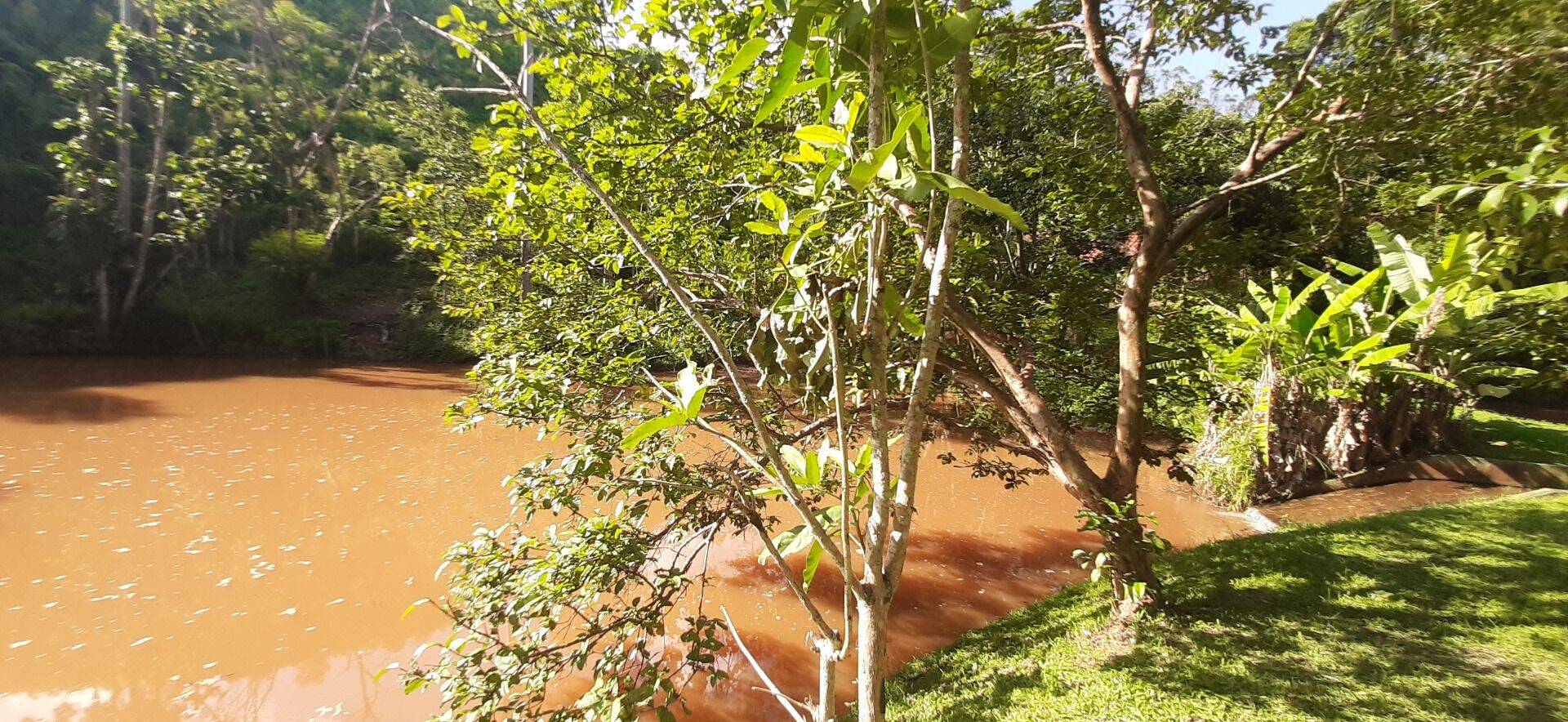 Sítio, 4 quartos, 1 hectares - Foto 78