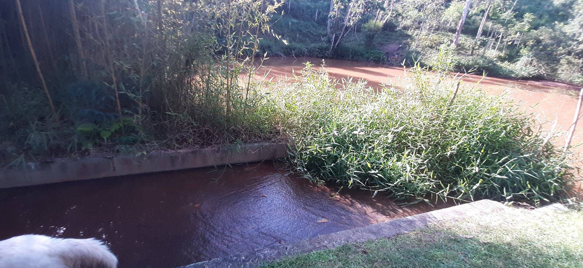 Sítio, 4 quartos, 1 hectares - Foto 79