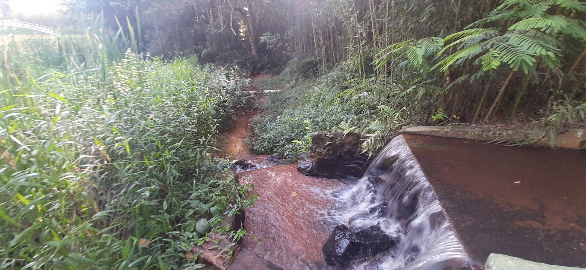 Sítio, 4 quartos, 1 hectares - Foto 81