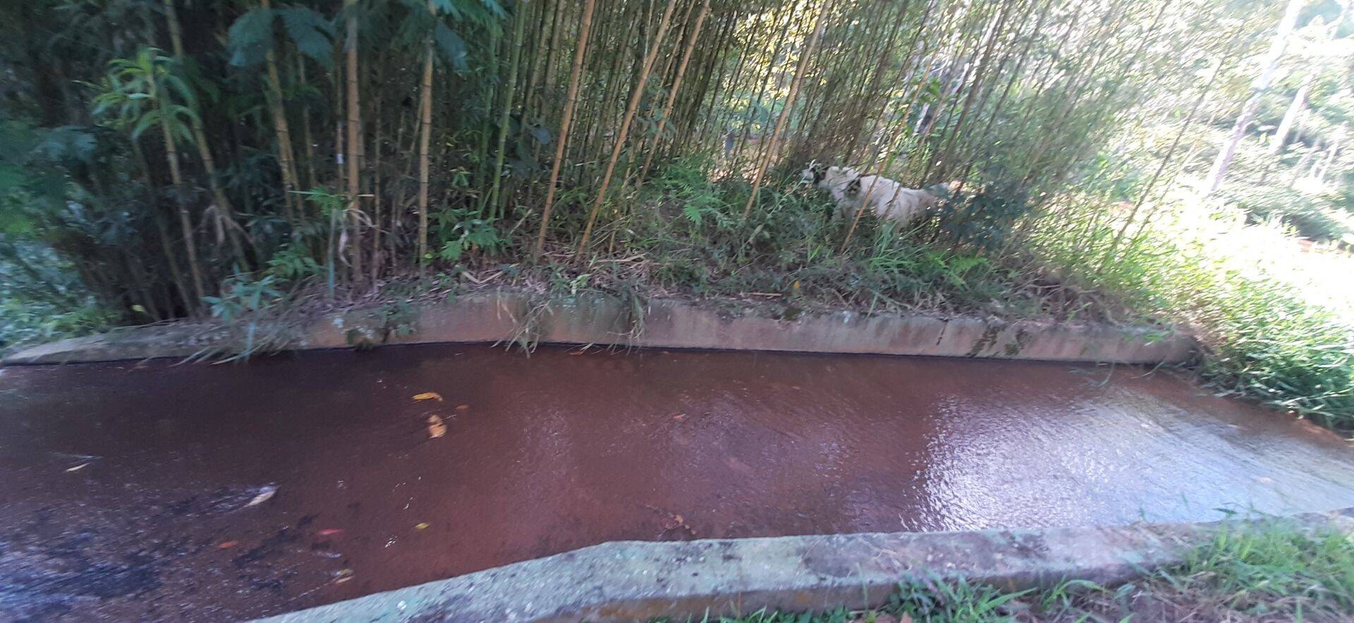 Sítio, 4 quartos, 1 hectares - Foto 82