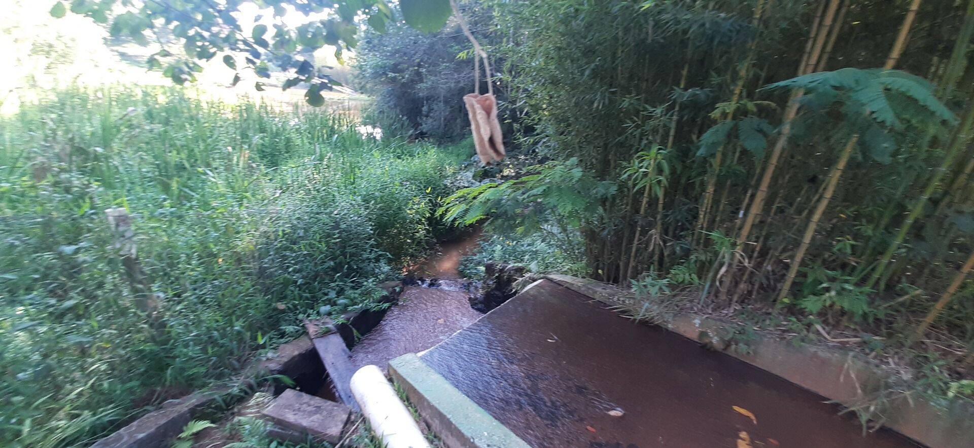 Sítio, 4 quartos, 1 hectares - Foto 83