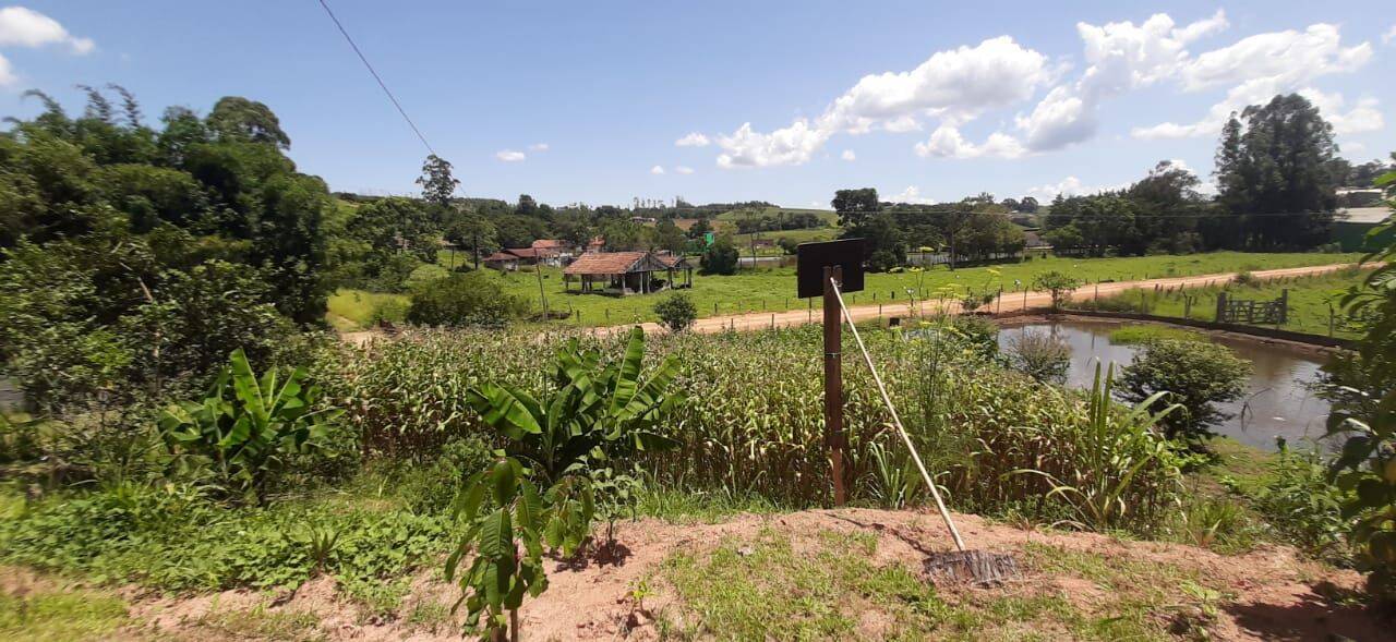 Chácara, 3 quartos, 4300 m² - Foto 13