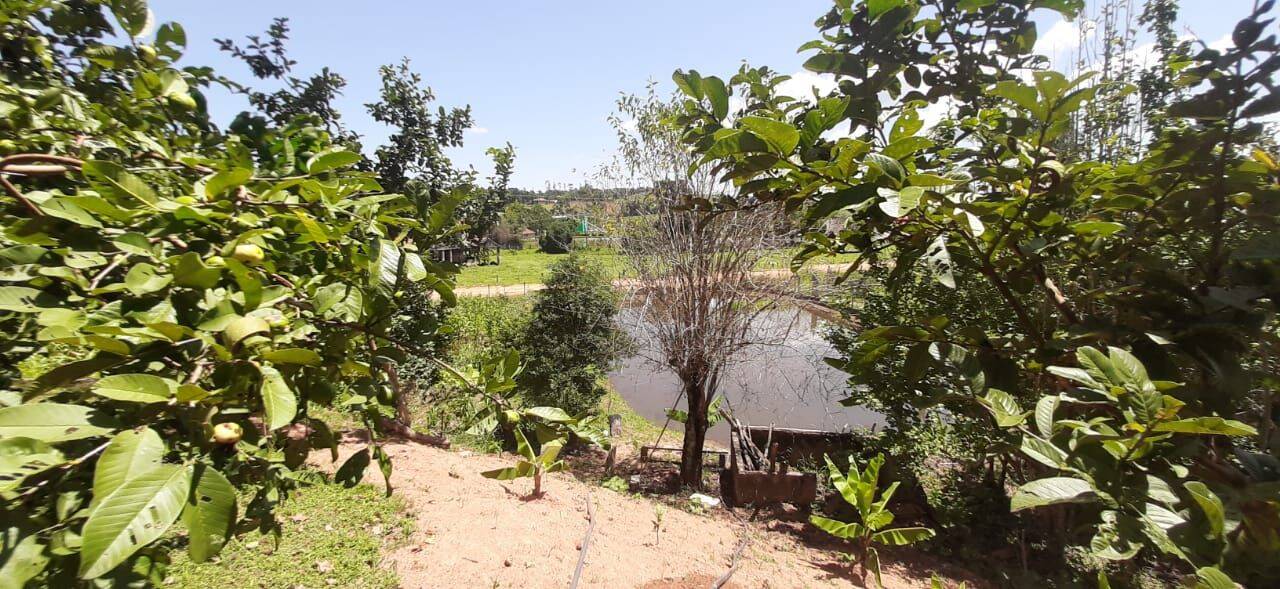 Chácara, 3 quartos, 4300 m² - Foto 17