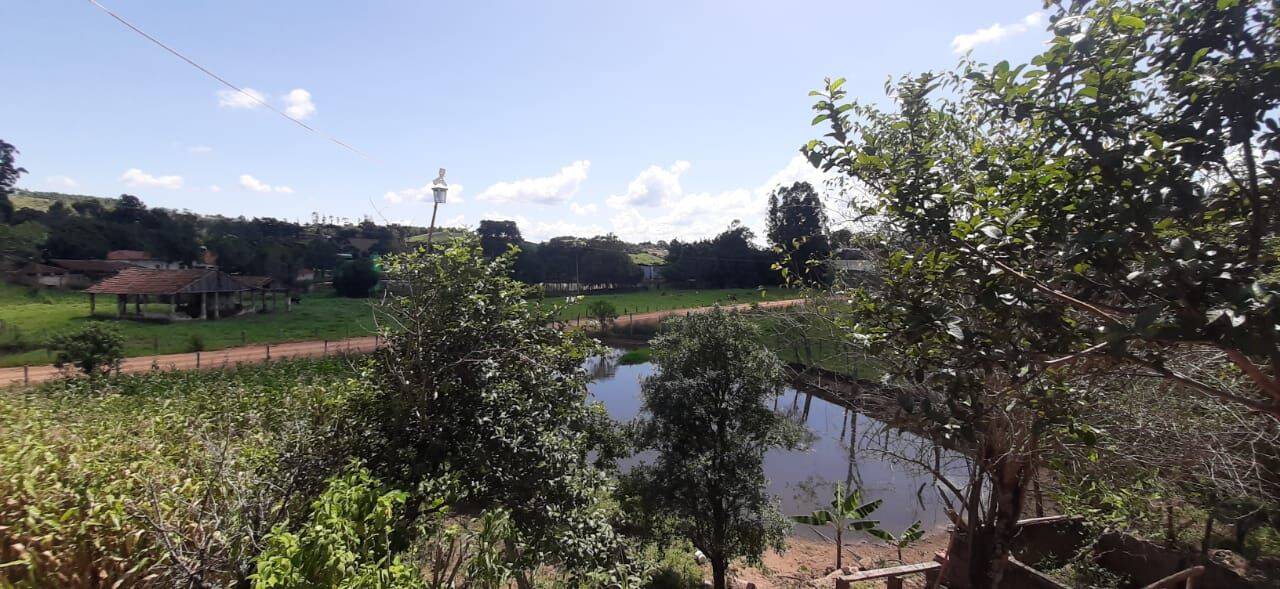 Chácara, 3 quartos, 4300 m² - Foto 30