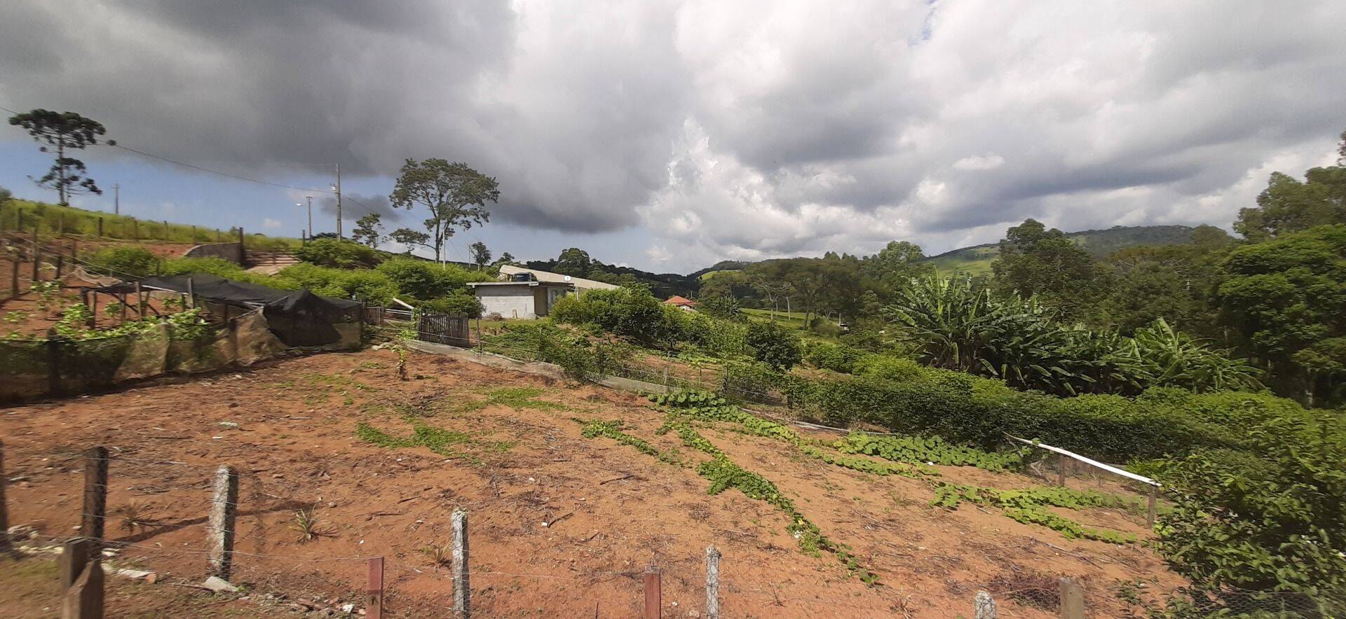 Chácara, 2 quartos, 6000 m² - Foto 3
