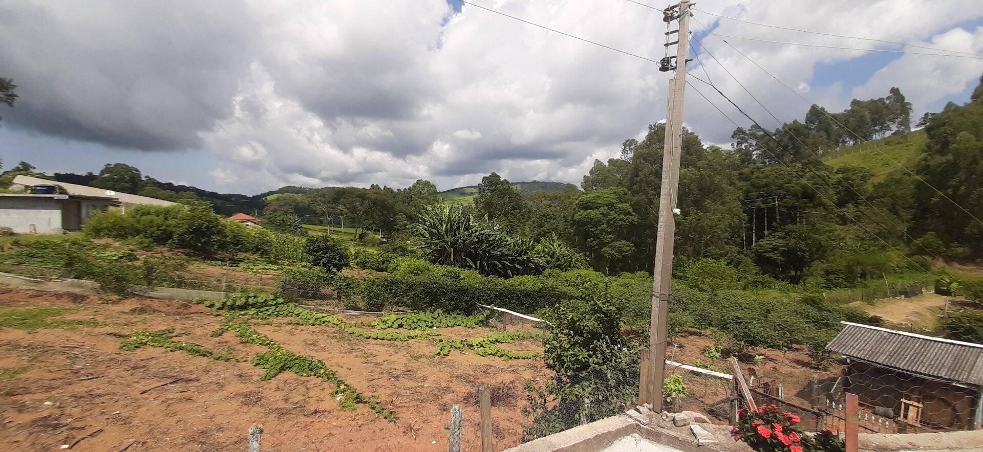Chácara, 2 quartos, 6000 m² - Foto 4