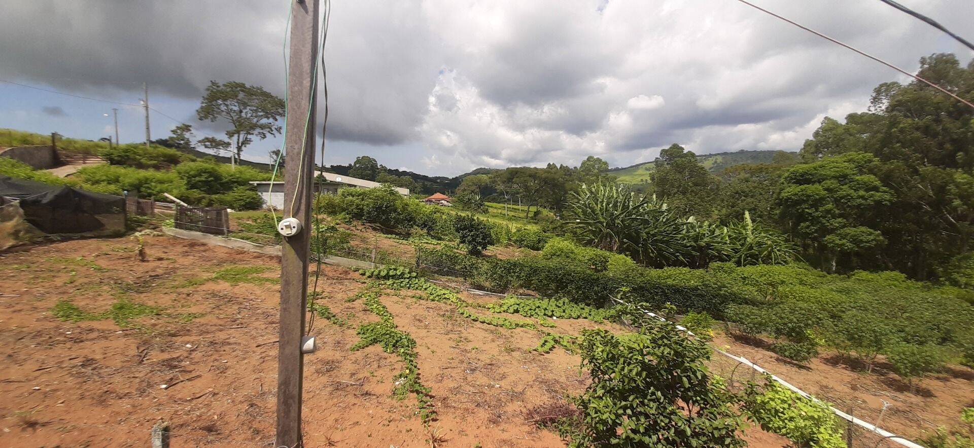 Chácara, 2 quartos, 6000 m² - Foto 5