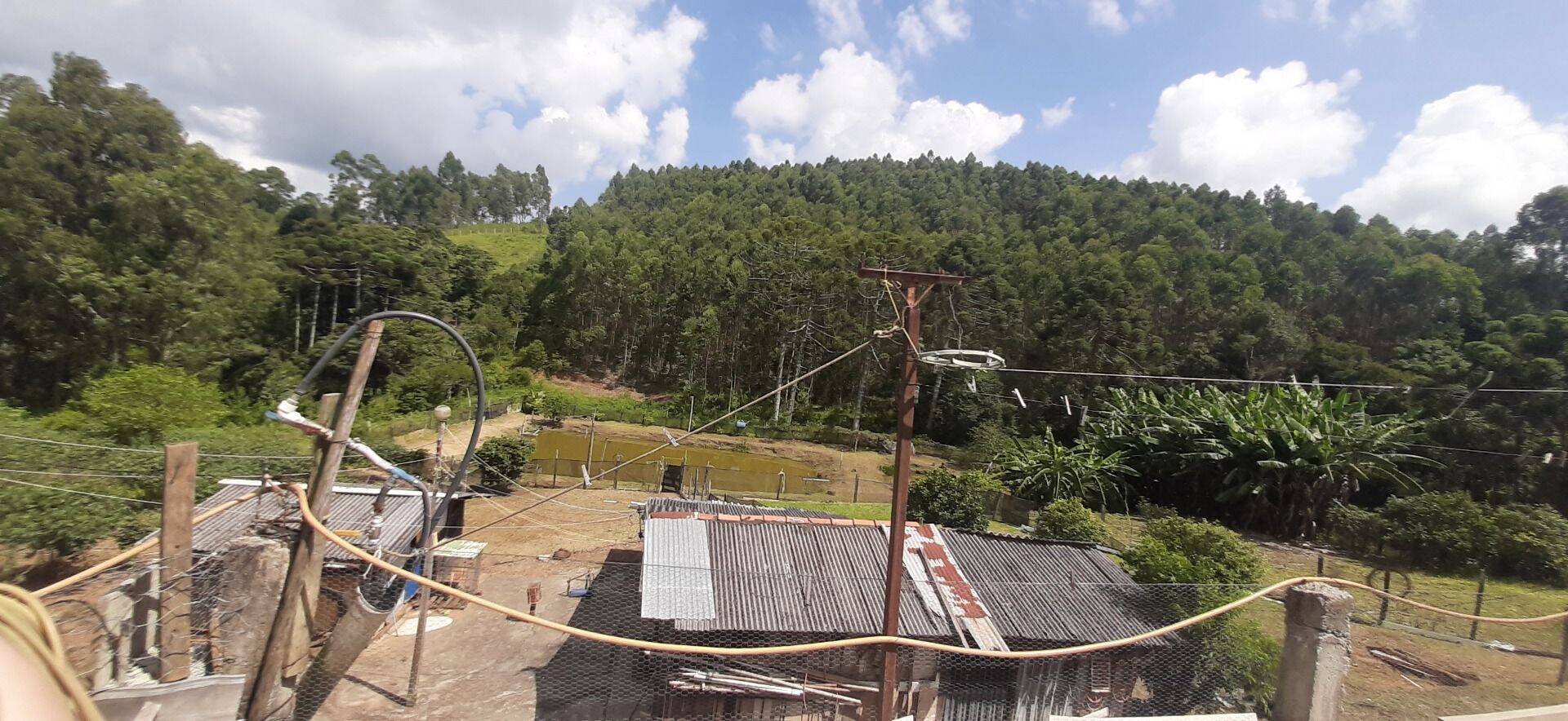Chácara, 2 quartos, 6000 m² - Foto 6