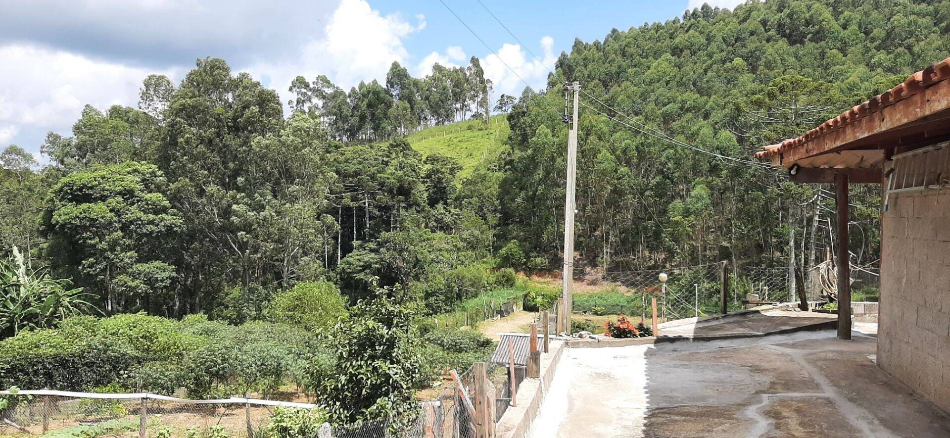 Chácara, 2 quartos, 6000 m² - Foto 34