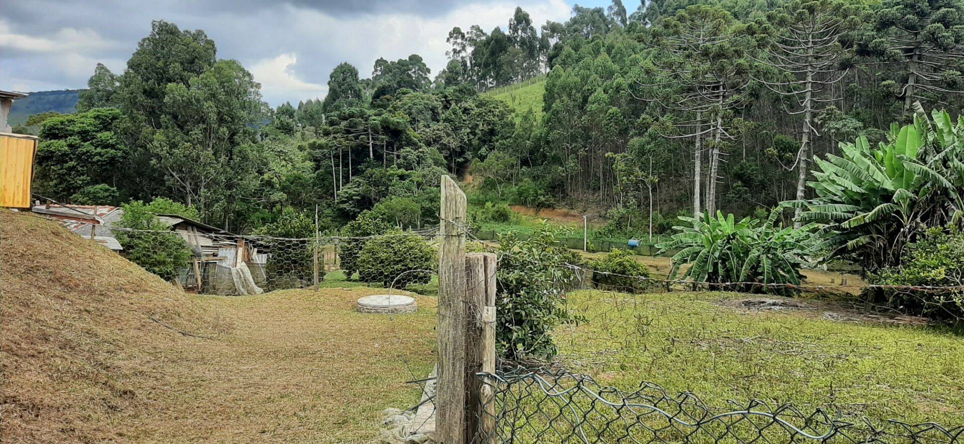Chácara, 2 quartos, 6000 m² - Foto 36