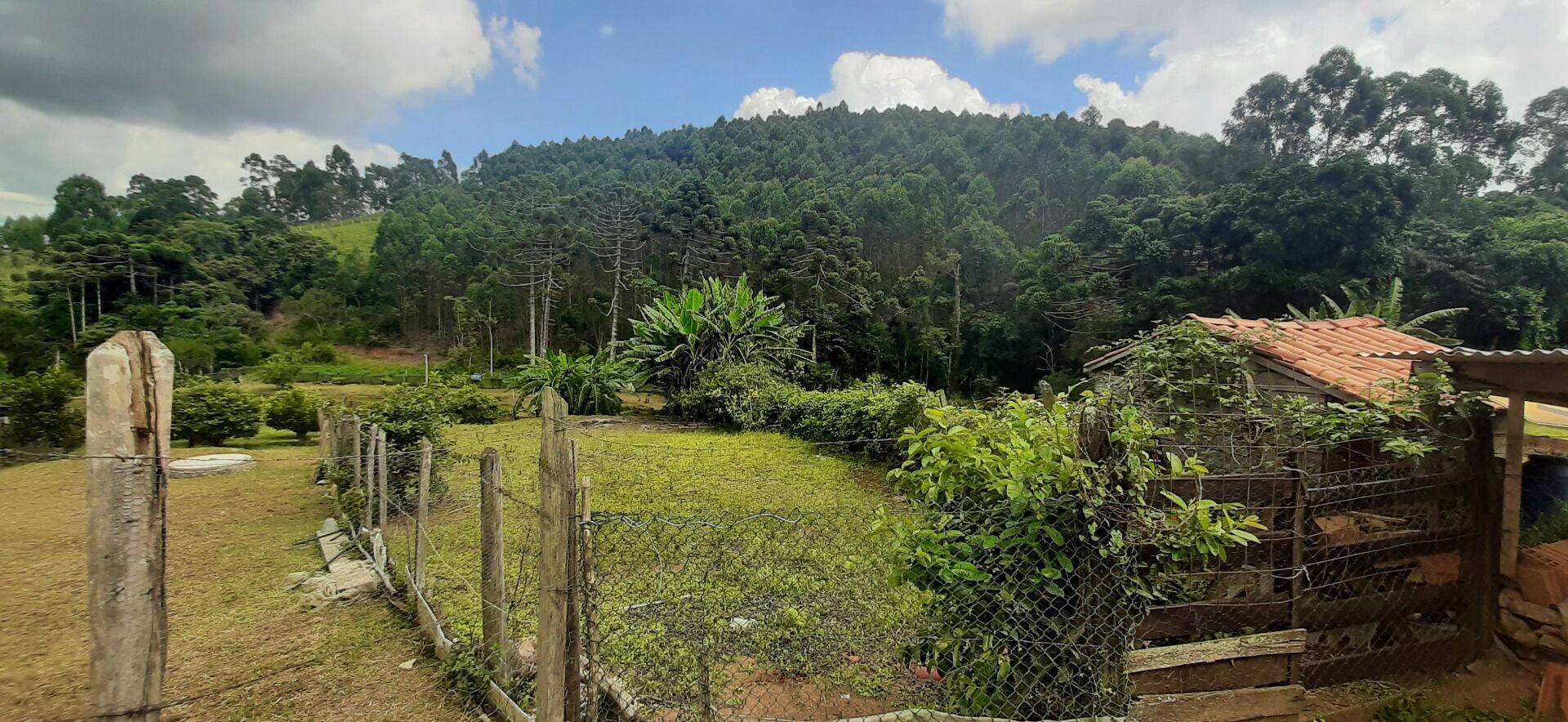 Chácara, 2 quartos, 6000 m² - Foto 38
