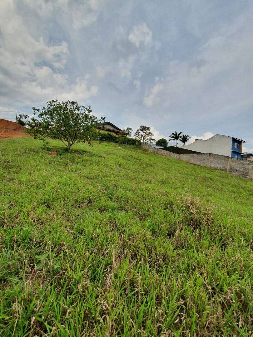 Chácara, 3 quartos, 1000 m² - Foto 36
