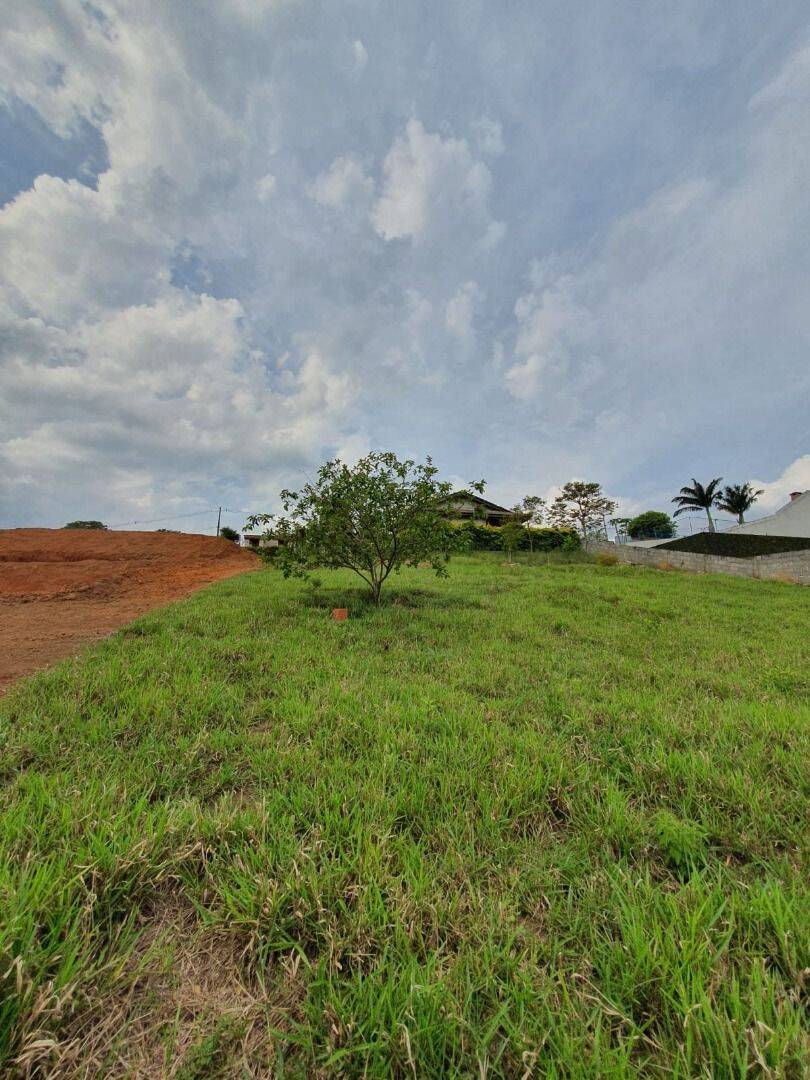 Chácara, 3 quartos, 1000 m² - Foto 37