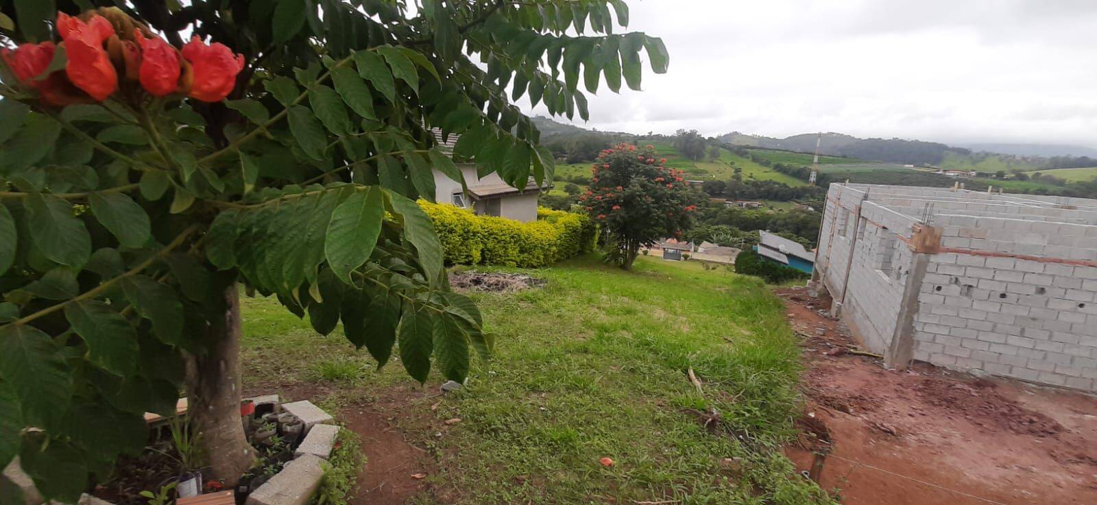 Chácara, 3 quartos, 1000 m² - Foto 45
