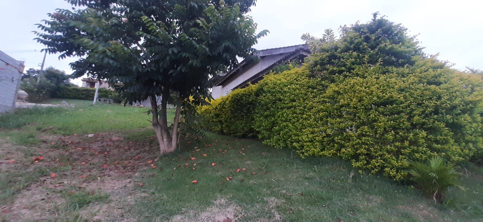 Chácara, 3 quartos, 1000 m² - Foto 46