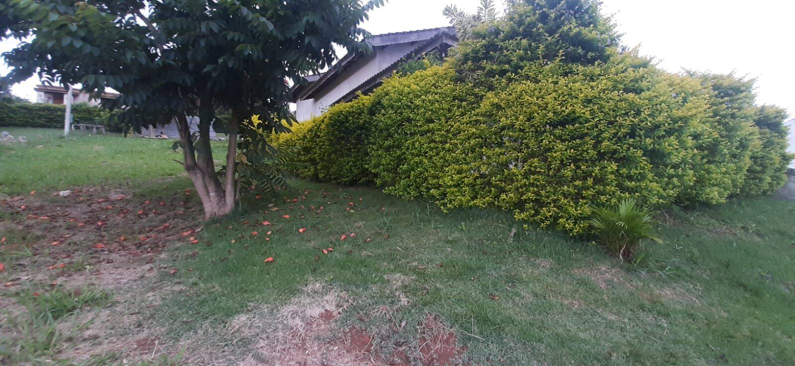 Chácara, 3 quartos, 1000 m² - Foto 51