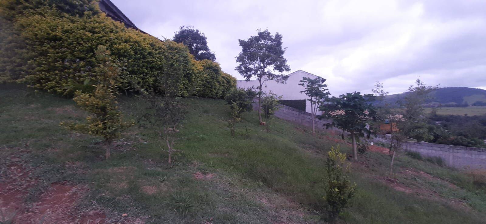 Chácara, 3 quartos, 1000 m² - Foto 52