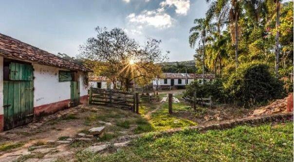 Fazenda, 131 hectares - Foto 7