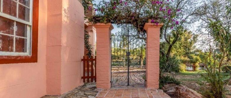 Fazenda, 131 hectares - Foto 10