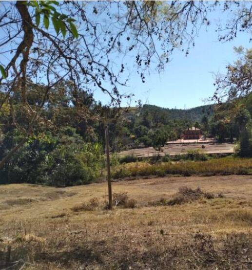 Fazenda, 131 hectares - Foto 14