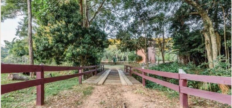 Fazenda, 131 hectares - Foto 35