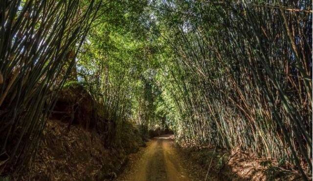 Fazenda, 131 hectares - Foto 36