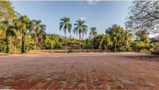 Fazenda, 131 hectares - Foto 40